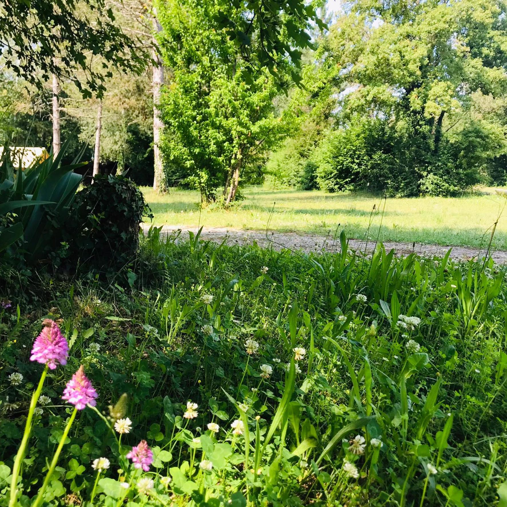 Camping La Vaugelette - Drôme Montclar-sur-Gervanne Eksteriør bilde